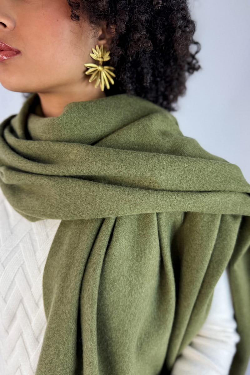 clementine 505 H25 2